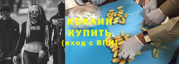 СК Алексин