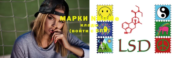 стаф Алзамай