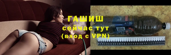 СК Алексин