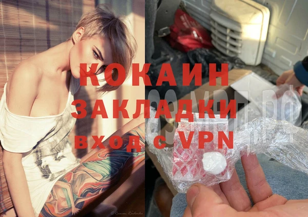 стаф Алзамай