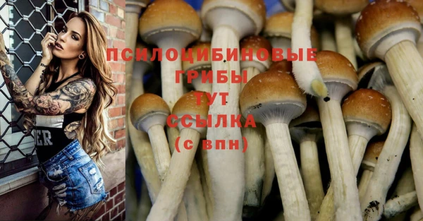 СК Алексин