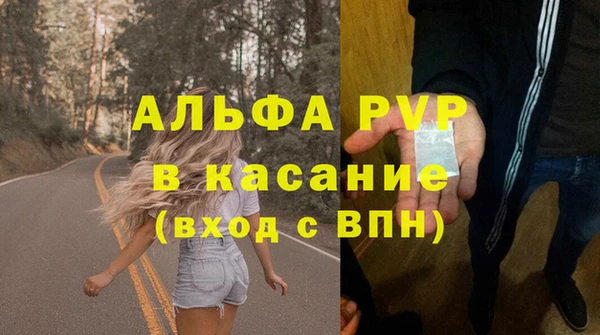 стаф Алзамай