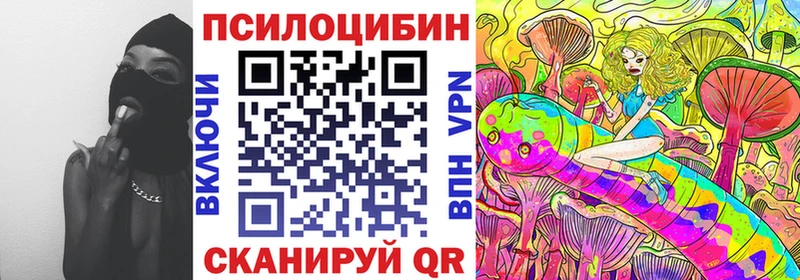 Галлюциногенные грибы Psilocybine cubensis  Аткарск 